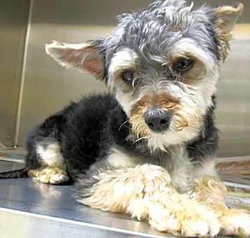 Photo of CHOP