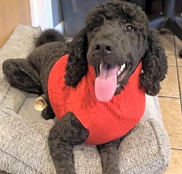 Photo of Denver