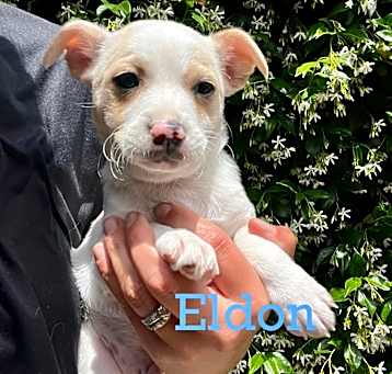 Photo of Eldon