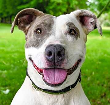 Photo of Keesha