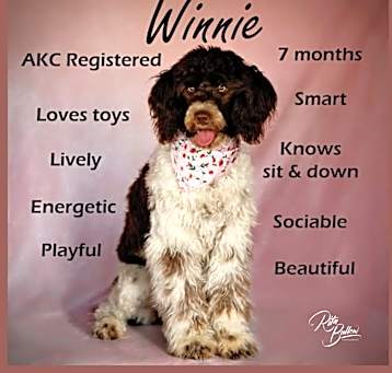 Photo of Winnie