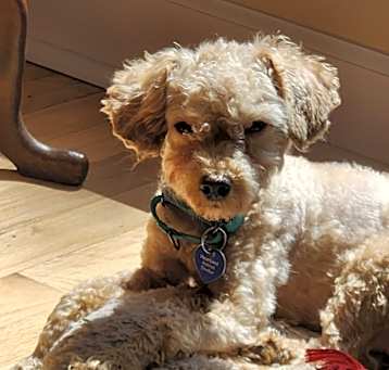 Photo of Arthur