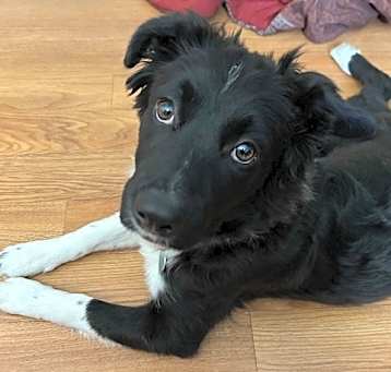 Photo of Elsie