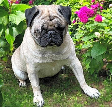 Photo of APPA