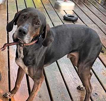 Photo of Buddy