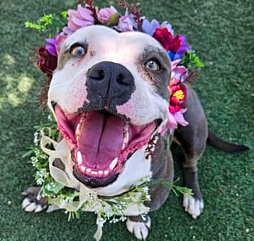 Photo of Maggie