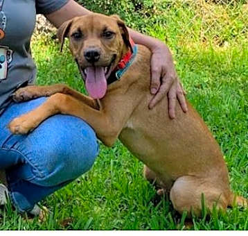 Photo of TITI