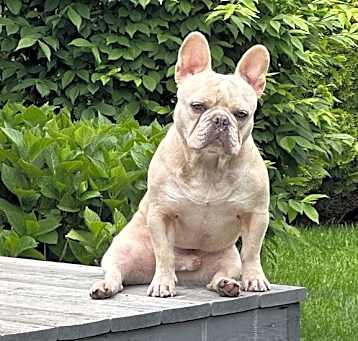 Photo of Ghost