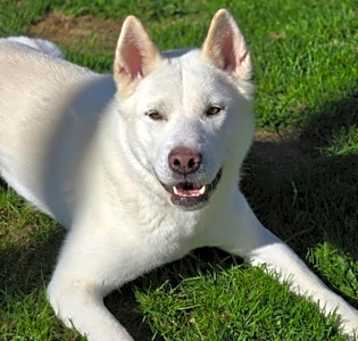 Photo of Bella