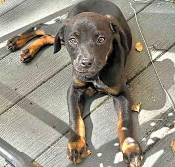 Photo of Arya