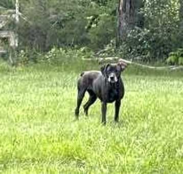 Photo of Sally