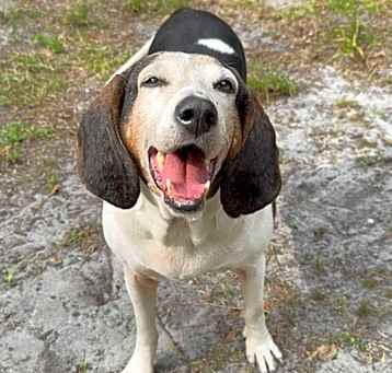 Photo of Edna