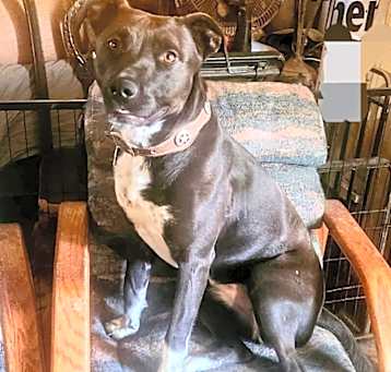 Photo of Zoe
