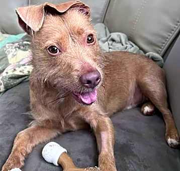 Photo of Oden