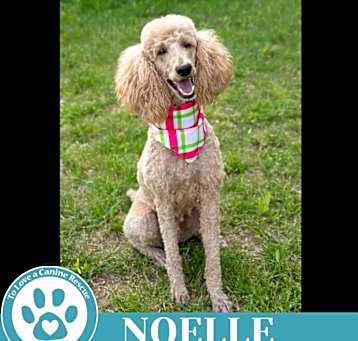 Photo of Noelle 051025