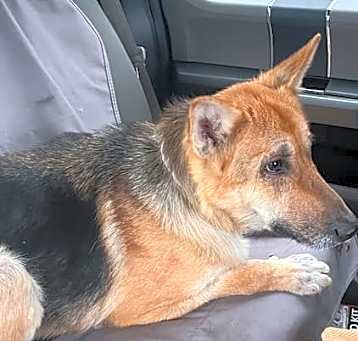 Photo of Keke Lola