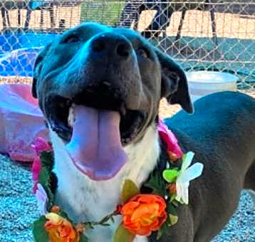 Photo of Spooky*/kilo