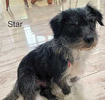 Photo of Star #4