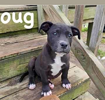 Photo of Doug