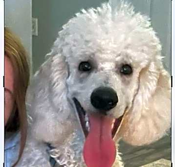 Photo of Jamison