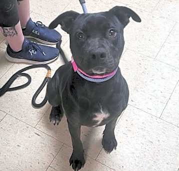 Photo of Octavia