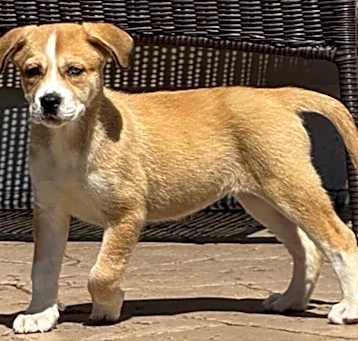Photo of Teeter
