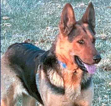 Photo of Breeha