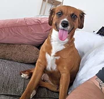 Photo of Flynn