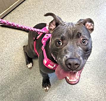 Photo of Maggie Mae