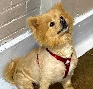 Photo of Jonah