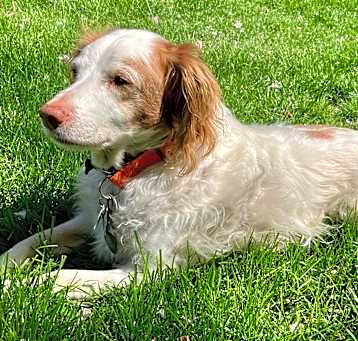 Photo of Daisy Lou