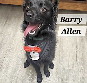 Photo of Barry Allen