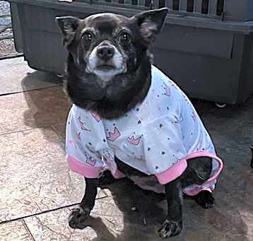 Photo of Nora
