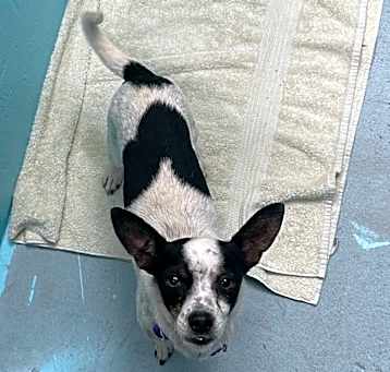 Photo of Mickey