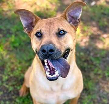 Photo of Sancho
