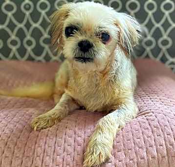 Photo of Lacy Mar 25