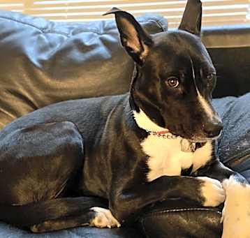 Photo of Lilly