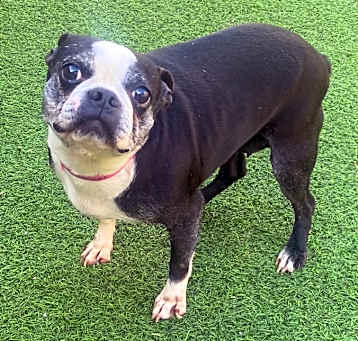 Photo of Becky 3641