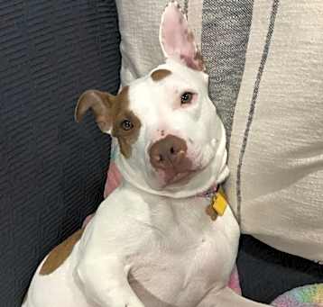 Photo of Maya
