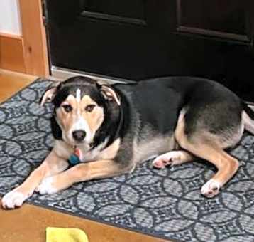 Photo of Cash