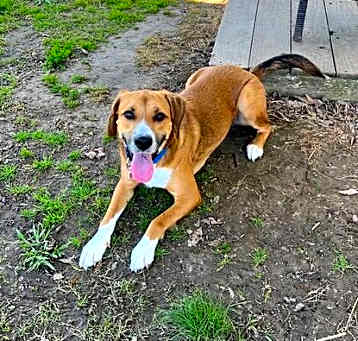 Photo of Penny