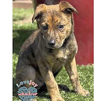 Photo of Chloe