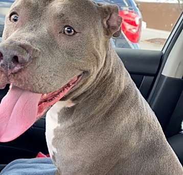 Photo of Sapphire
