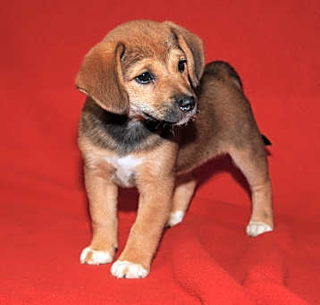 Photo of Lola