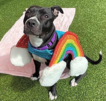 Photo of Lucy Loo