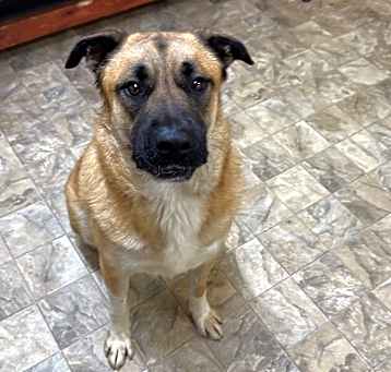 Photo of Bullseye