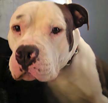 Photo of Kilo