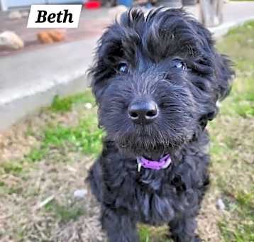 Photo of Beth