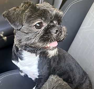Photo of Marvin