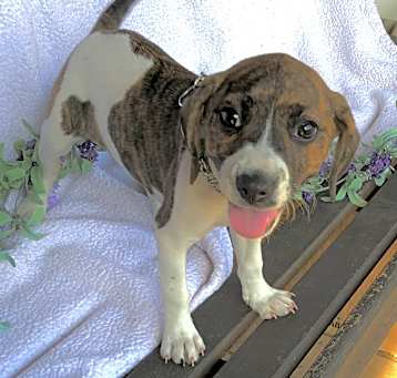 Photo of Jossie
